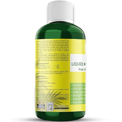 Organic Premium Kelp Seaweed Fertilizer - Liquid Hydroponics Fertilizer - Liquid Plant Food - Nutrient-Rich Soil Enhancer - Natural Plant Food for Aloe Vera (32 OZ)