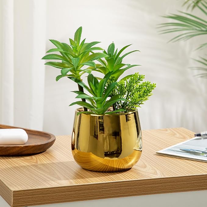Briful Artificial Succulents Plants in Ceramic Pots, 2 Pack Faux Succulent Set with Gold Planters – Modern Desk Decor for Home Office Shelf Bathroom, Small Fake Plants Potted