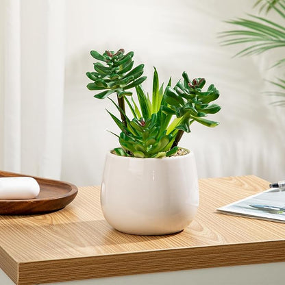 Briful Artificial Succulents Plants in Ceramic Pot, Faux Succulent with White Planters – Modern Desk Decor for Home Office Shelf Bathroom, Small Fake Plants Potted
