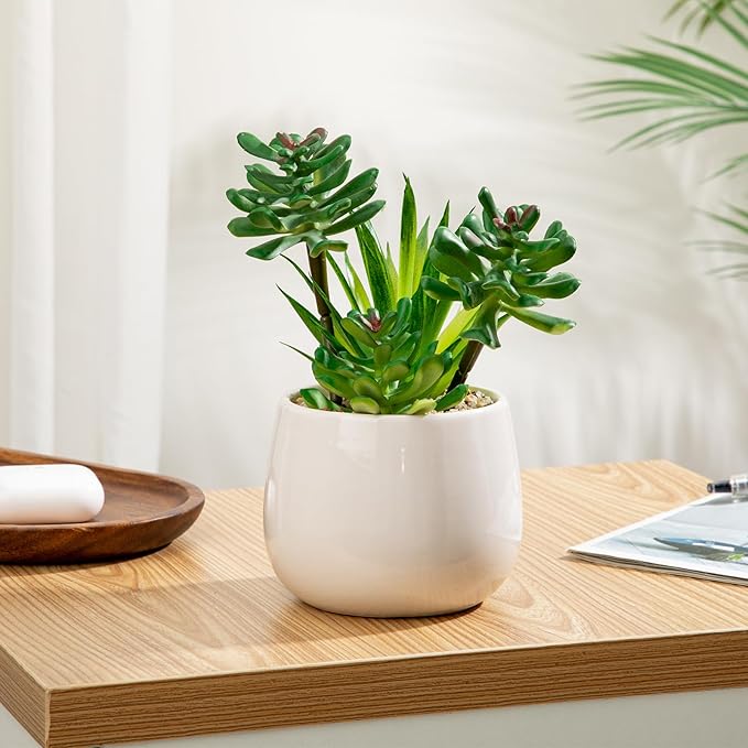 Briful Artificial Succulents Plants in Ceramic Pots, 2 Pack Faux Succulent Set with White Planters – Modern Desk Decor for Home Office Shelf Bathroom, Small Fake Plants Potted