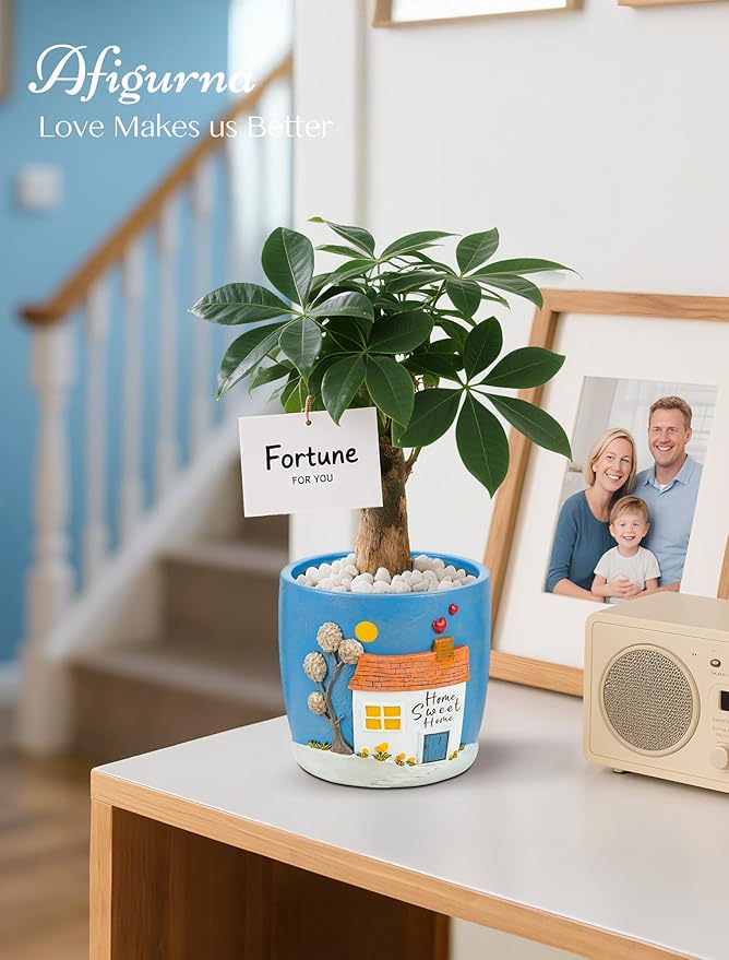 New Home Gift Ideas: Home Sweet Home Plant Gift for Plant Lover - 5.3in Hand-Painted 3D Art Planter - Gardening House Warming Gift for New Apartment Christmas