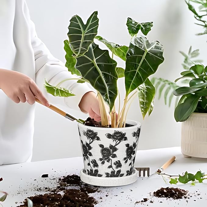 Ceramic Pot for Indoor Plants - 5.5 inch Flower Pot for Plants with Drainage Holes and Saucer Ice Crack Diamond Rose Flower Pattern Ceramic Planter for Outdoor Indoor Herb Snake Plant (Black & White)