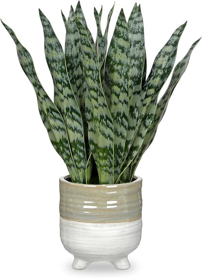 Hollyone Fake Snake Plant 13.5 Inch Large Artificial Snake Plant Potted with Ceramic Pot Faux Sansevieria Plant for Home Office Room Indoor Decor Housewarming Gifts