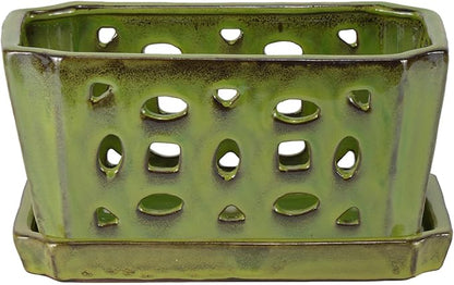 W&W Orchid Pot with Holes and Saucer for Repotting, YellowGreen, 9.7 Inches