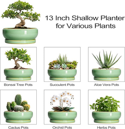 Large Bonsai Pots - 13 Inch Ceramic Succulent Pots for Indoor Outdoor, Ceramic Planter with Drainage Hole and Saucer, Shallow Round Planter, Garden Decor, Gifts for Women Men, Light Green