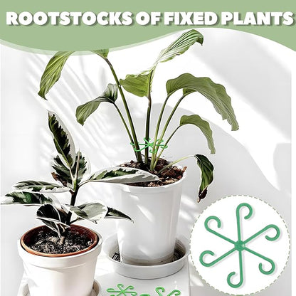 Monstera Plant Support, Plant Stakes for Indoor Plants, 16 Pack Reusable Plant Stabilizer, 4 Size Climbing Houseplant Stem Supports for Potted Vines, Monstera, Flowers