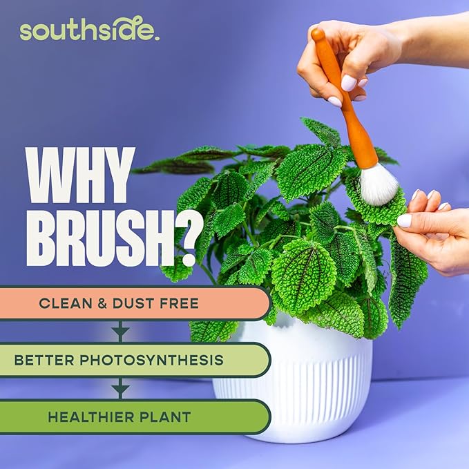 Southside Plant Cactus & Succulent Plants Cleaning Brushes - Wooden Handles w/Soft Goat Hair Bristles - Garden Cleaning Tools, Gentle on Plants, 7" & 3.2" Sizes - Pack of 2