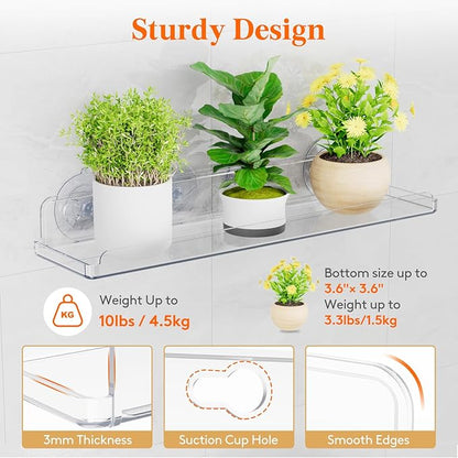 Lifewit Window Plant Floating Shelves 14.6 x 3.6 inch, 2 Pack Acrylic Suction Cup Shelf, Window Sill Extender for Indoor Succulent Plants, Micro Greens, Seed Starter Pots, Herb Planters