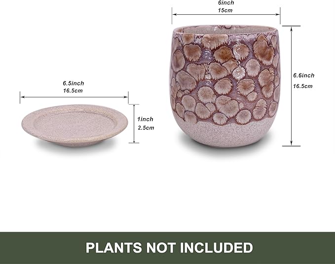 6 in Ceramic Plant Pot with Saucer，Indoor Plant Pot for Plants, Flower Pot with Drainage，Reactive Glaze Red