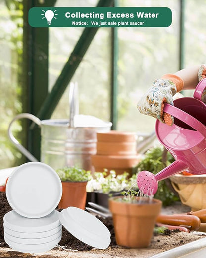 vensovo 6 Inch White Terracotta Plant Saucer Pots Tray - 6 Pcs Round Planter Saucers for Indoor & Outdoor Plants, Small Clay Trays Perfect for 5 Inch 5.5 Inch 6 Inch Flower Pot