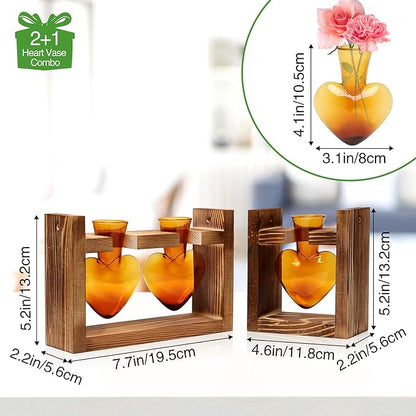 2+1 Plant Terrarium Plant Propagation Station Birthday Gifts for Women Home Office Decor with Wooden Stand