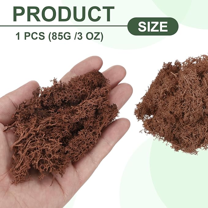 MECCANIXITY 3oz Preserved Reindeer Moss, Coffee Decorative Artificial Fake Moss for Potted Plants Indoor Crafts Lichen Centerpieces Decor