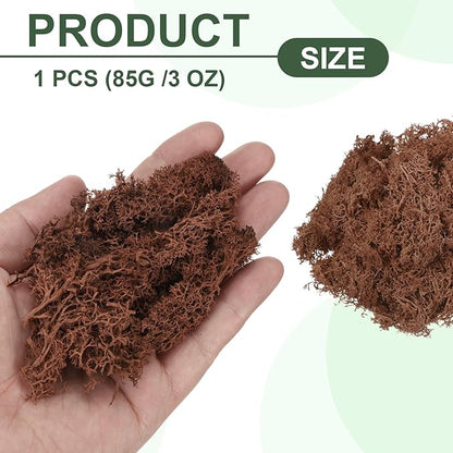 MECCANIXITY 3oz Preserved Reindeer Moss, Coffee Decorative Artificial Fake Moss for Potted Plants Indoor Crafts Lichen Centerpieces Decor