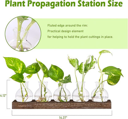 Plant Propagation Station, Plants Terrarium with Wooden Stand 5 Bulb Houseplants Glass Vase for Hydroponic Plants Gift for Plant Lovers Home Office Decor