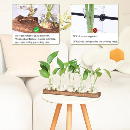 Plant Propagation Station, Plants Terrarium with Wooden Stand 5 Bulb Houseplants Glass Vase for Hydroponic Plants Gift for Plant Lovers Home Office Decor