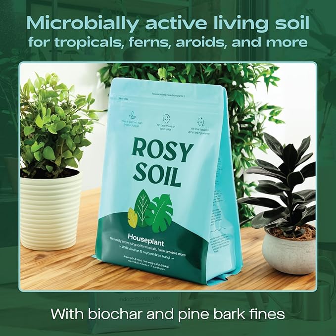 Rosy Soil Cactus & Succulent Potting Mix + Indoor Potting Soil - Peat Free House Plant Soil - Mix for Indoor Plants (4 Quarts Each)
