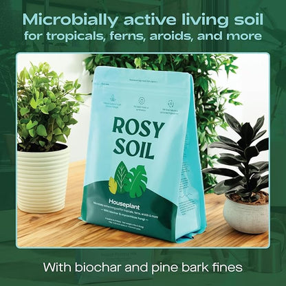 Rosy Soil Cactus & Succulent Potting Mix + Indoor Potting Soil - Peat Free House Plant Soil - Mix for Indoor Plants (4 Quarts Each)