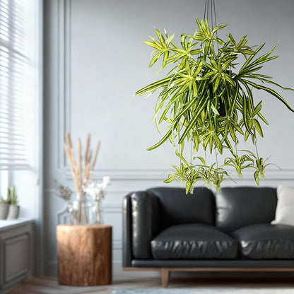 2 Pcs Artificial Spider Hanging Plant Artificial Bracketplant Chlorophytum Fake Greenery for Outdoor Porch Patio Window Shelf Office Garden Home Decor (Green)