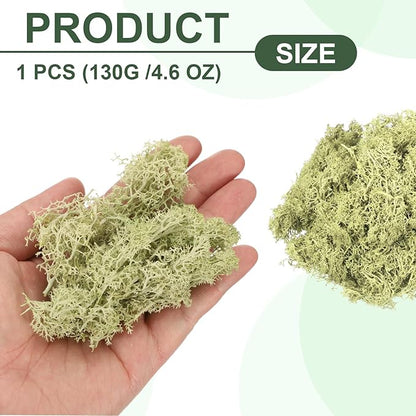 MECCANIXITY 4.6oz Preserved Reindeer Moss, Light Bright Green Decorative Artificial Fake Moss for Potted Plants Indoor Crafts Lichen Centerpieces Decor