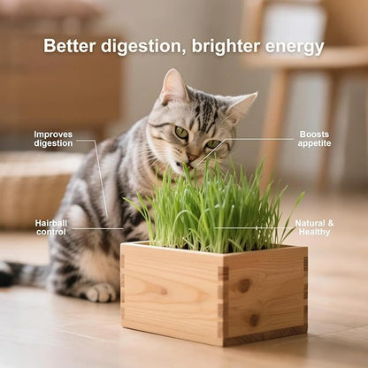 Cat Grass Kit for Indoor Cats Complete with Rustic Wood Planter, Organic Wheat Grass Seed and Soil, Grows in 7 Days, Prevent Hairballs and Aid Digestion Ideal Birthday Christmas Gift for Cat Lovers