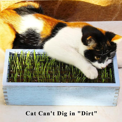 Wooden Cat Grass Planter (no Seeds Included) with Potting Soil Disks, Anti-Digging Grid and Removable Plastic Liner, Wheat Grass Growing Pot, Cat Grass Kit for Indoor Cats Pets (Amber Blue)