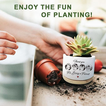 Friend Gifts for Women, Succulent Planter, Flower Cactus Plant Pot, Friendship Gifts for Women Friends Bestie Sister, Golden Merchandise, Thank You for Being A Friend (No Plants)