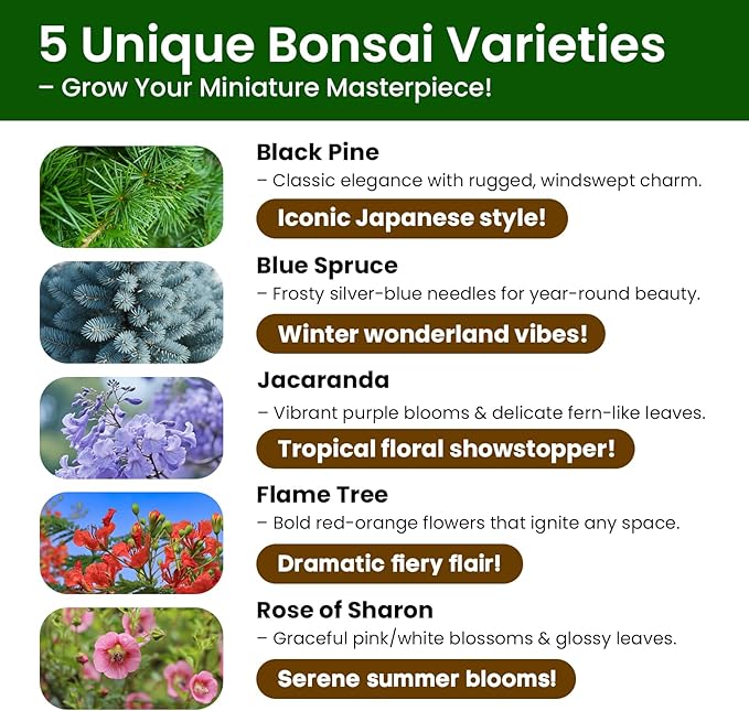 Bonsai Tree Kit - Christmas Gifts, Christmas Gifts for Women & Men, Christmas Gifts for Mom - Complete Beginner Bonsai Starter Kit with Tools & Seeds | Unique DIY Gardening Gift Set for Plant Lovers