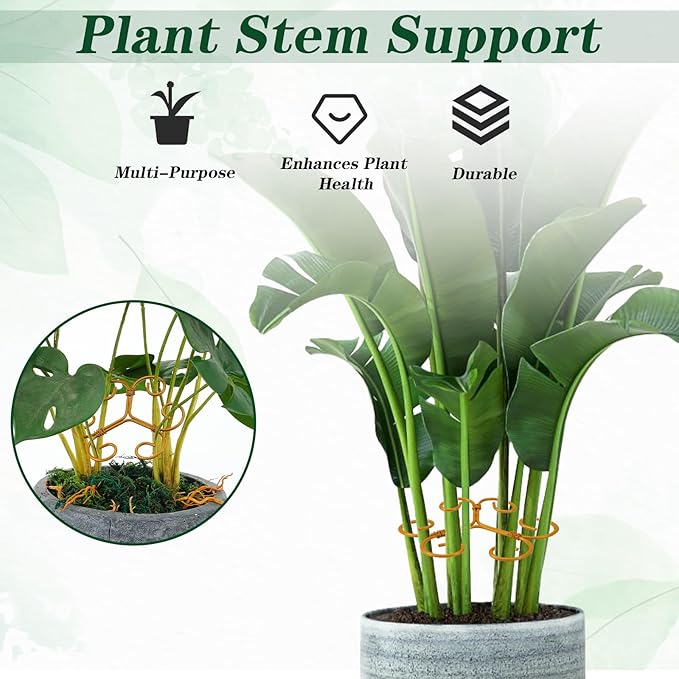 Lusofie 4 Pcs Monstera Plant Support,Iron Plant Support Stakes,Stabilizer Grapple Holder,Turtle Bamboo Clamp Set for Indoor and Outdoor Plants and Flowers to Promote Healthy Growth