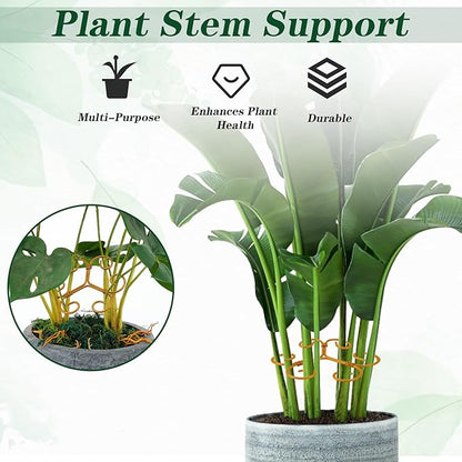 Lusofie 4 Pcs Monstera Plant Support,Iron Plant Support Stakes,Stabilizer Grapple Holder,Turtle Bamboo Clamp Set for Indoor and Outdoor Plants and Flowers to Promote Healthy Growth