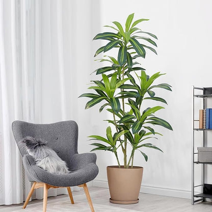 Dracaena Plant Artificial Tree 5Ft Tall Fake Tropical Floor Plants Potted (Real Touch) Artificial Silk Tree Leaf Faux Trees Black Tall Planter for Home Office Living Room Indoor Outdoor Decor