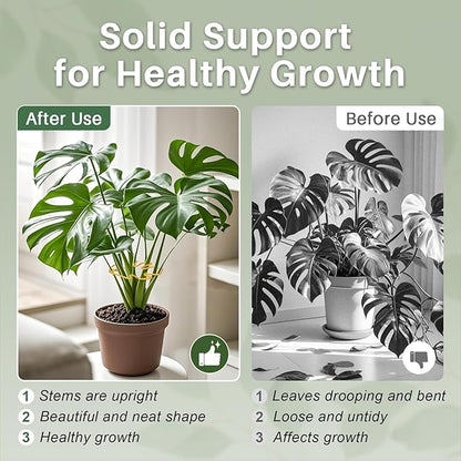 Monstera Plant Support for Indoor Plants Metal Plant Stem Holder Plant Support Ring for Climbing Plants Stem Stabilizer (6.29 * 7.08inch/ 5)