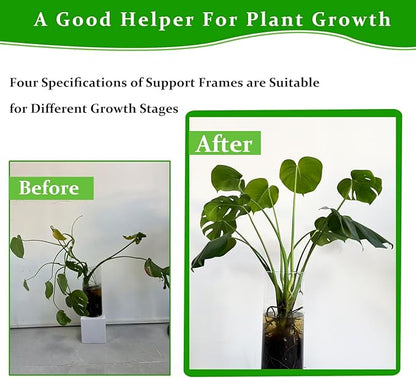 16Pcs 4 Sizes Plant Stem Support, Climbing Houseplant Stem Holders, Reusable Plant Stabilizer for Indoor Plants Accessories