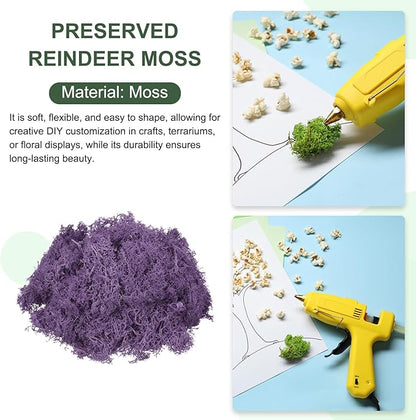MECCANIXITY 3oz Preserved Reindeer Moss, Dark Purple Decorative Artificial Fake Moss for Potted Plants Indoor Crafts Lichen Centerpieces Decor