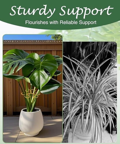10Pcs Plant Stem Supports for Indoor Plants,2025 New Durable Adjustable Monstera Plant Stabilizer Support,Golden Climbing Plants Stabilization and Support Outdoor 4.1x4.1 inches(10PC-B)