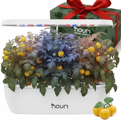 Nouri 12 pod Smart Garden for Home Cooks | w/Heirloom Basil | Hydroponics Growing System | LED Grow Lights | Indoor Herb Garden Kit | Herb Growing Kit Indoors for Plant Lovers, Gardeners, Kitchen