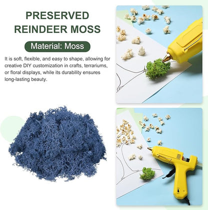 MECCANIXITY 3oz Preserved Reindeer Moss, Dark Blue Decorative Artificial Fake Moss for Potted Plants Indoor Crafts Lichen Centerpieces Decor