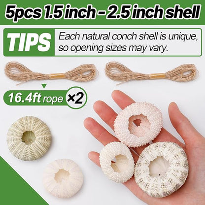 5 Pack Mini Sea Urchin Shell Air Plant Holders- 5 Styles Decorative Hanging Air Plant Pot, Tillandsia Succulent Display Container for Home Gardening Gifts Garden Beach Theme Party Decors, No Plants