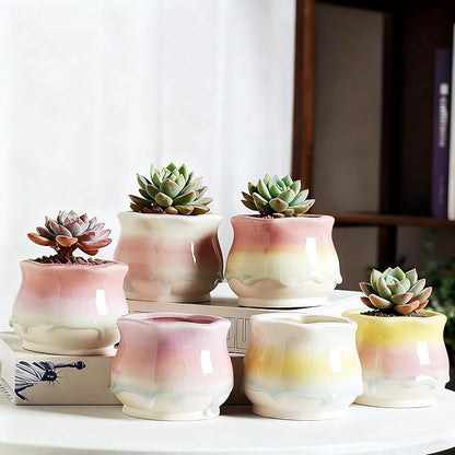 6 Pack Ceramic Succulent Planters, 3.54" W × 3.35" H Gradient Crackle Glaze Flower Pots for Succulents, Cacti, Small Plants, Creative Gardening Decorative Planter Containers