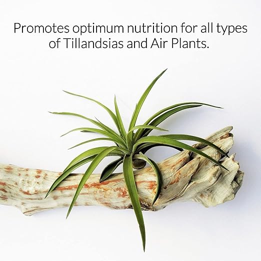 Professional Air Plant Pump Spray Fertilizer Mist | Pre Mixed for Weekly Use | Gentle Blend & Gardening Supplies | 4 oz Bottle
