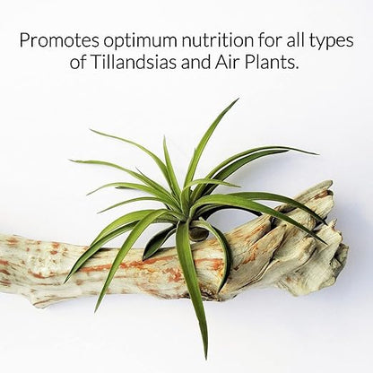 Professional Air Plant Pump Spray Fertilizer Mist | Pre Mixed for Weekly Use | Gentle Blend & Gardening Supplies | 4 oz Bottle