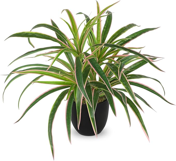 Fake Hanging Plant, Faux Spider Plant in Black Pot Artificial Grass Plants 13 Inch Faux Potted Plants for Home Office Table Shelf Indoor Outdoor Pink and Green