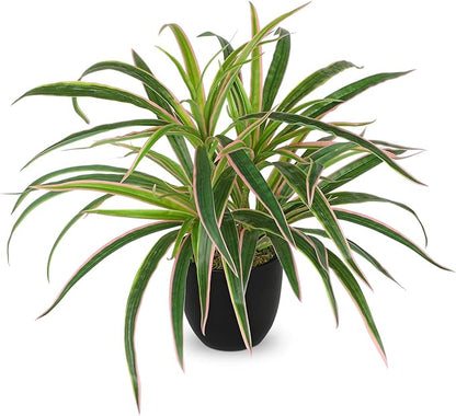 Fake Hanging Plant, Faux Spider Plant in Black Pot Artificial Grass Plants 13 Inch Faux Potted Plants for Home Office Table Shelf Indoor Outdoor Pink and Green