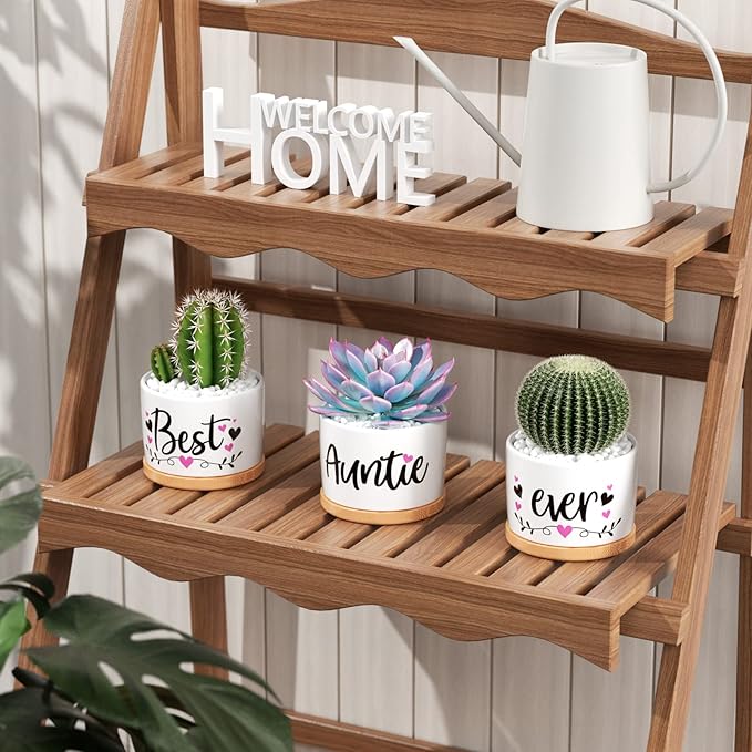 MAYICIVO Christmas Aunt Gifts from Niece Nephew, Best Gifts for Aunt, Best Auntie Ever Gifts Succulent Pots for Plants Indoor Ceramic Planter, Gift Boxed Aunt Birthday Gifts for Aunt Auntie
