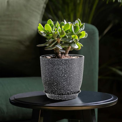 Planters for Garden House Plants, Indoor Outdoor Flower Pots Set with Trays 8 Inch Garden Pots,Plant Pots for Indoor Plants, Speckled Black