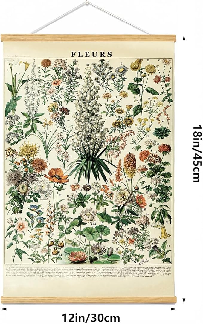 Vintage Flowers Poster Hanger Frame, Plant Floral Reference Chart Wall Decor Cottagecore Room Decor Aesthetic, Retro Style Wall Decor Art Painting Prints. (plant C, 18L x 12W)