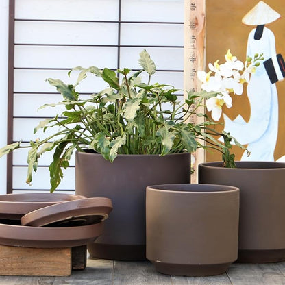PLANTATOREM Ceramic 10 Inch Mid Modern Planter Pot with Drainage Hole and Saucer, Indoor Cylinder Round Flower Pot, Perfect for Planting Succulents, Herbs, Flowers, House Plants, Pastel Taupe