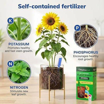 All-Purpose Liquid Plant Food Fertilizer (6-Pack) | Easy No-Mix Spikes for Indoor House Plants & Outdoor Flowers | Bloom Booster Nutrient Solution for Vibrant Growth & Strong Roots | Made in The USA