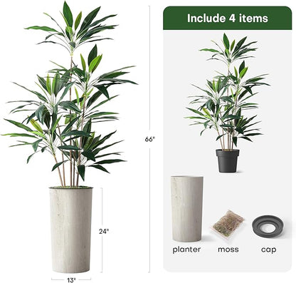 SIGNWIN Artificial Tree in Modern Swirl Pattern Planter, Fake Dracaena Tree Silk Tree for Indoor and Outdoor Home Decoration - 66" Overall Tall (Plant Pot Plus Tree)