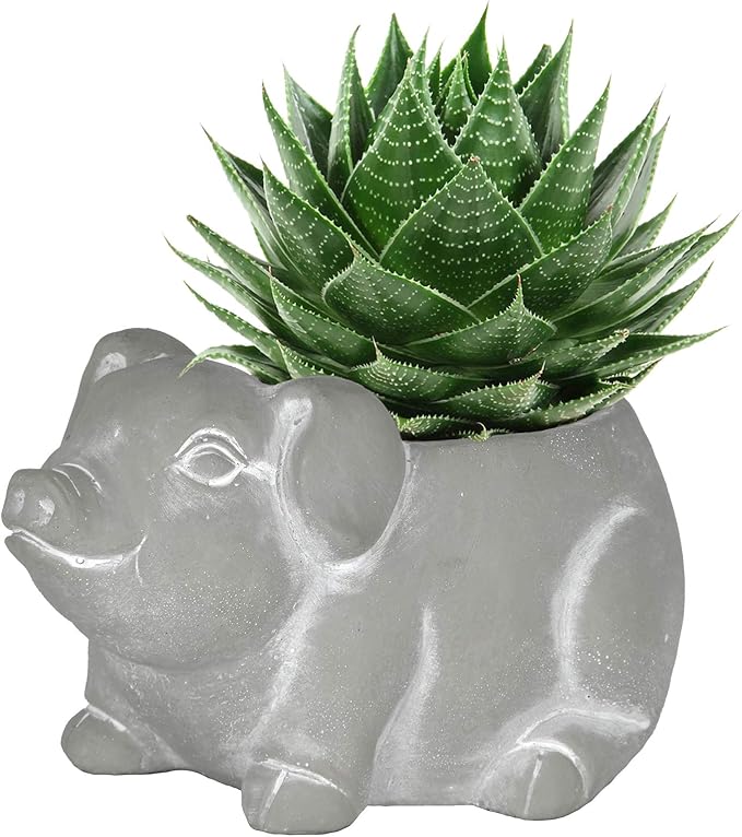 Classic Home and Garden Cement Buddies Animal Planter - Cute Desk Decoration - UV Coated Animal Vase w/Drain Plug -Succulent Plant Pot for Indoor/Outdoor Use (Pig Planter, Natural, Small)