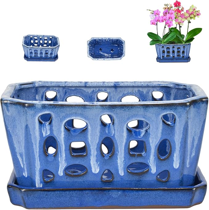 W&W Orchid Pot with Holes and Saucer for Repotting, White and Blue, 9.7 Inches
